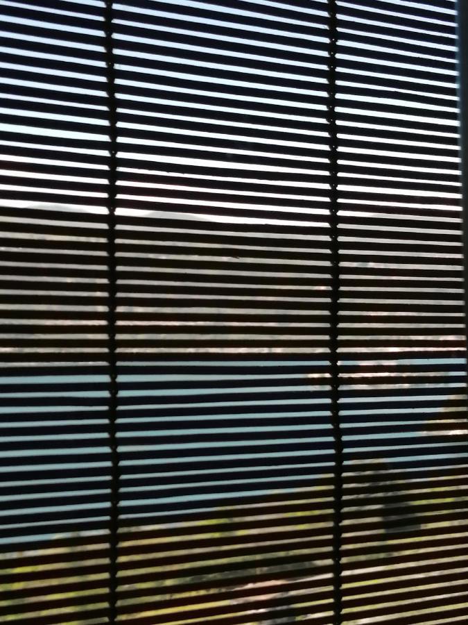 Terrazza Sul Lago Ameno エクステリア 写真